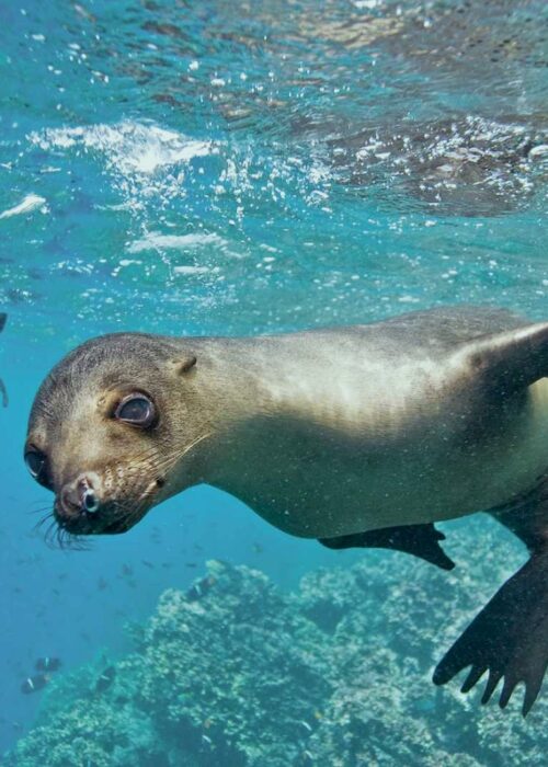 Ecuador & Peru Highlights (15 Days)