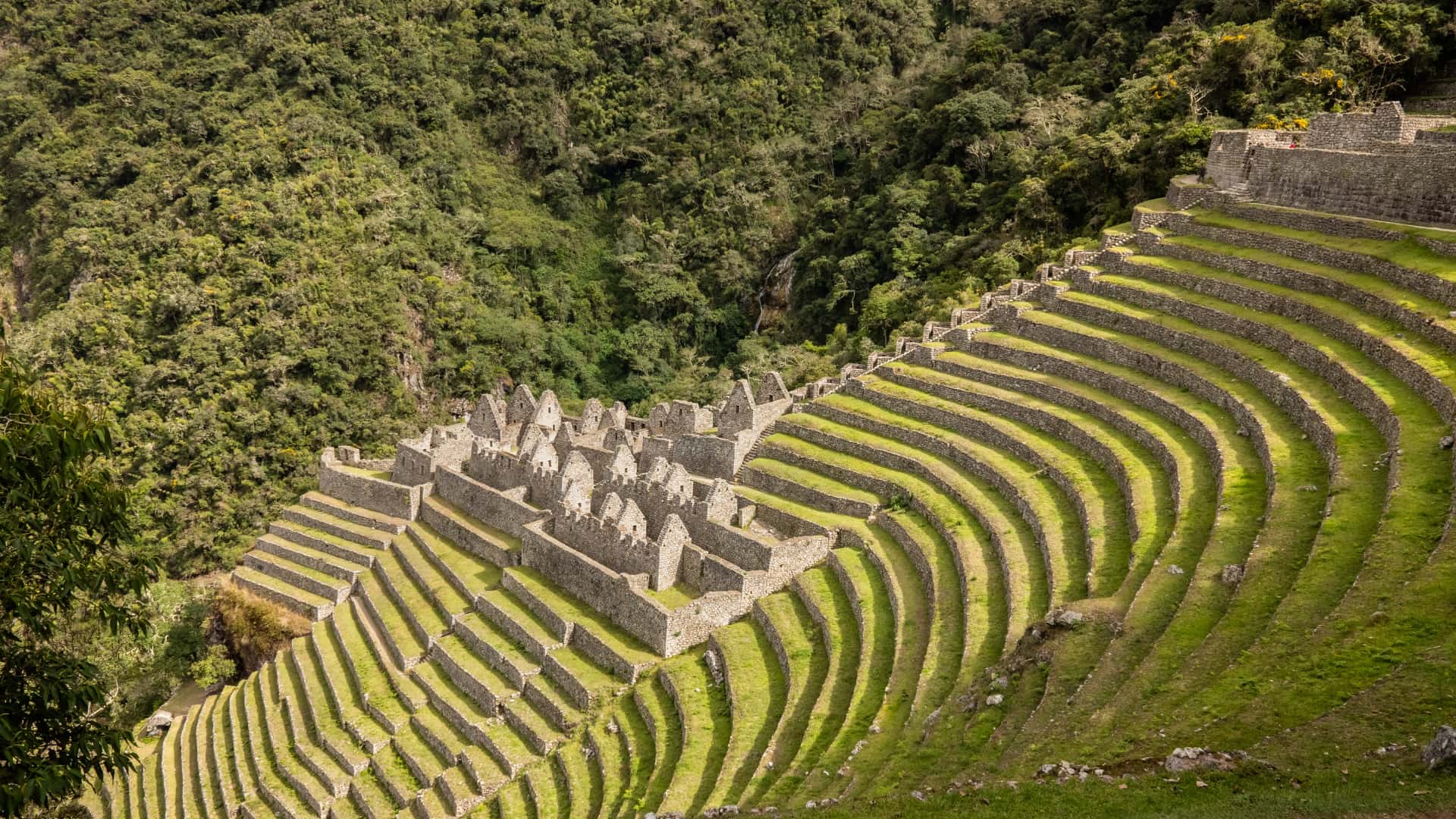 Wiñay Wayna Ruins in Peru: A Comprehensive Guide to This Inca Marvel